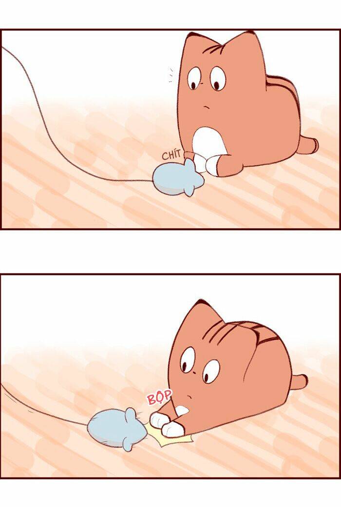 saphie: chú mèo một mắt chapter 3 6