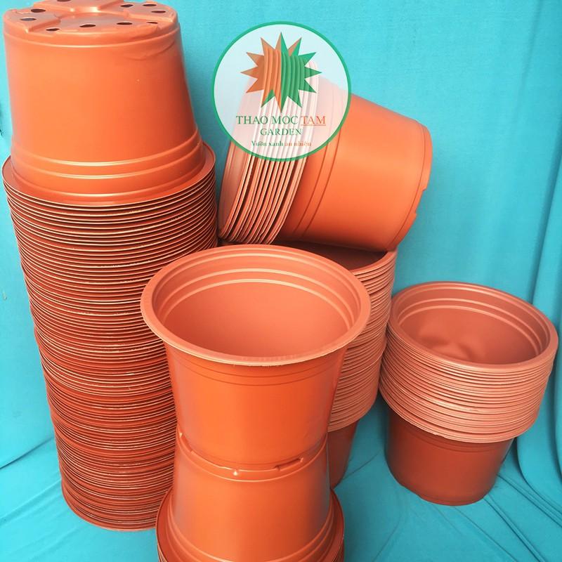 30c Chậu nhựa trồng hoa 23x16cm - Chậu nhựa trồng cây hoa cảnh