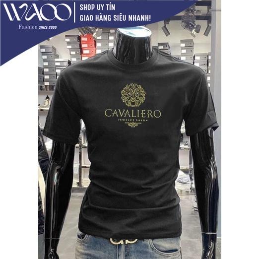 Áo Thun Nam, Có Bigsize Từ S Đến 8XL, Vải Cotton Cao Cấp, Mặc Mịn Thoáng Mát - Thời Trang Waoo, Mẫu ATNN295