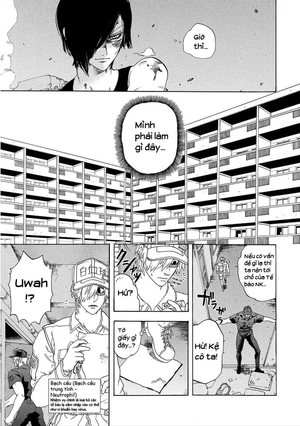 hataraku saibou! chapter 9 5
