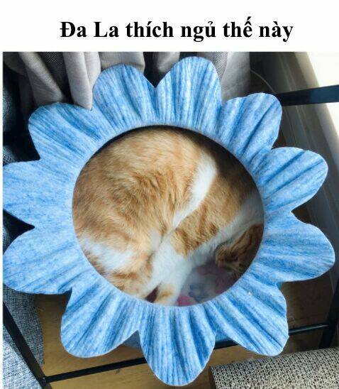 đại thánh và tiểu yêu chapter 71 13