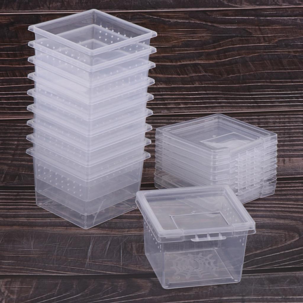 20x Reptile Feeding Container Vivarium Rearing Box for Outing Raise