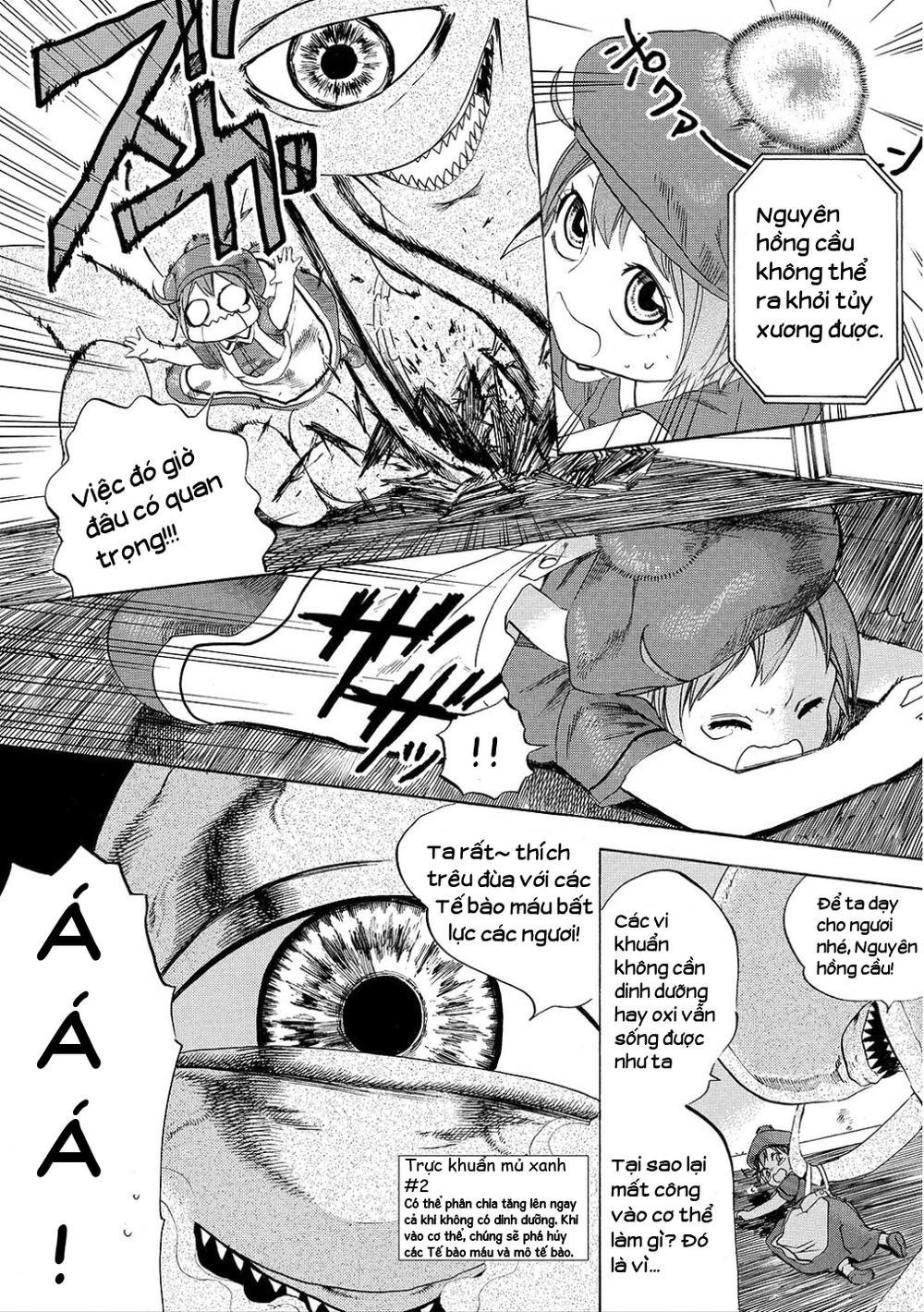 hataraku saibou! chapter 7 16