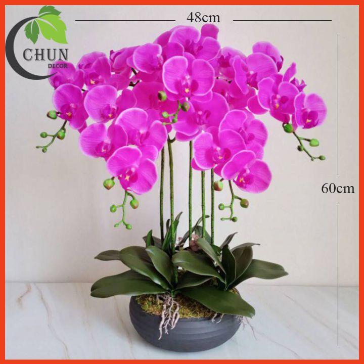 Chậu Lan Giả Lan Hồ Điệp Để Bàn 5 Nhánh Cao 60cm Trang Trí Nhà Cửa, Bàn Làm Việc, Kệ Tủ Siêu Đẹp CL4