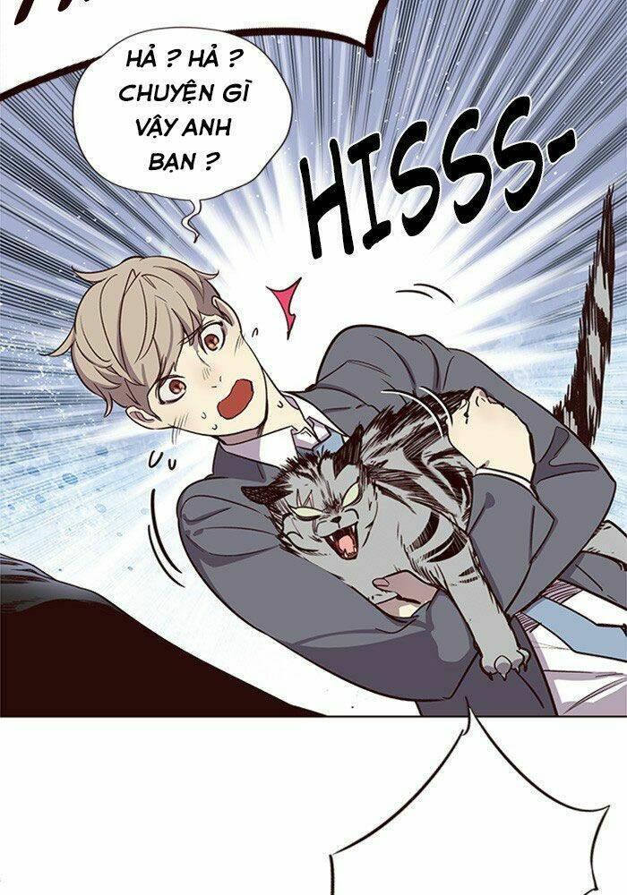 biến thân thành mèo chapter 11 93