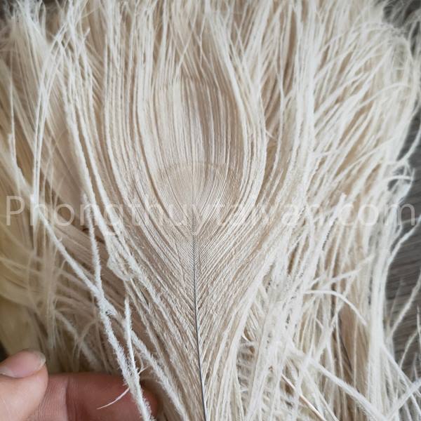 Lông Công Màu TRẮNG,VÀNG, XANH trang trí 25cm 30cm-lông Khổng tước chiêu tài,trang trí