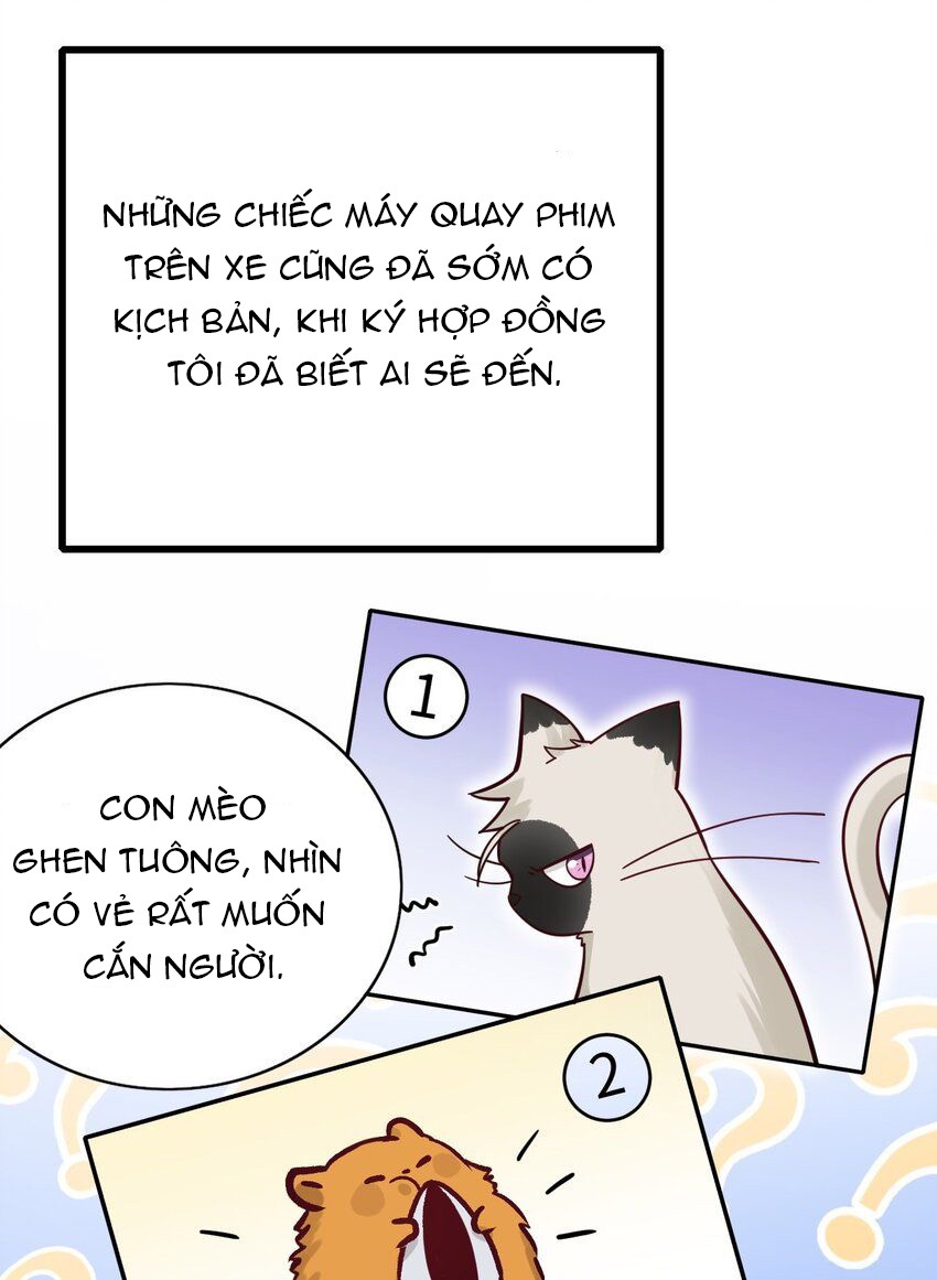 tức thời phạm quy [ tức thì vi quy ] chapter 61 6