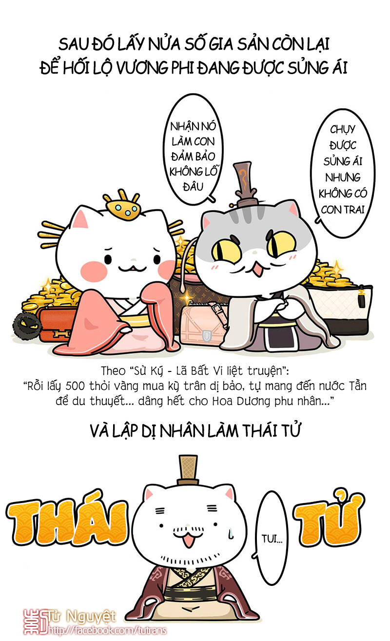 nếu lịch sử là một bầy mèo chapter 24 17