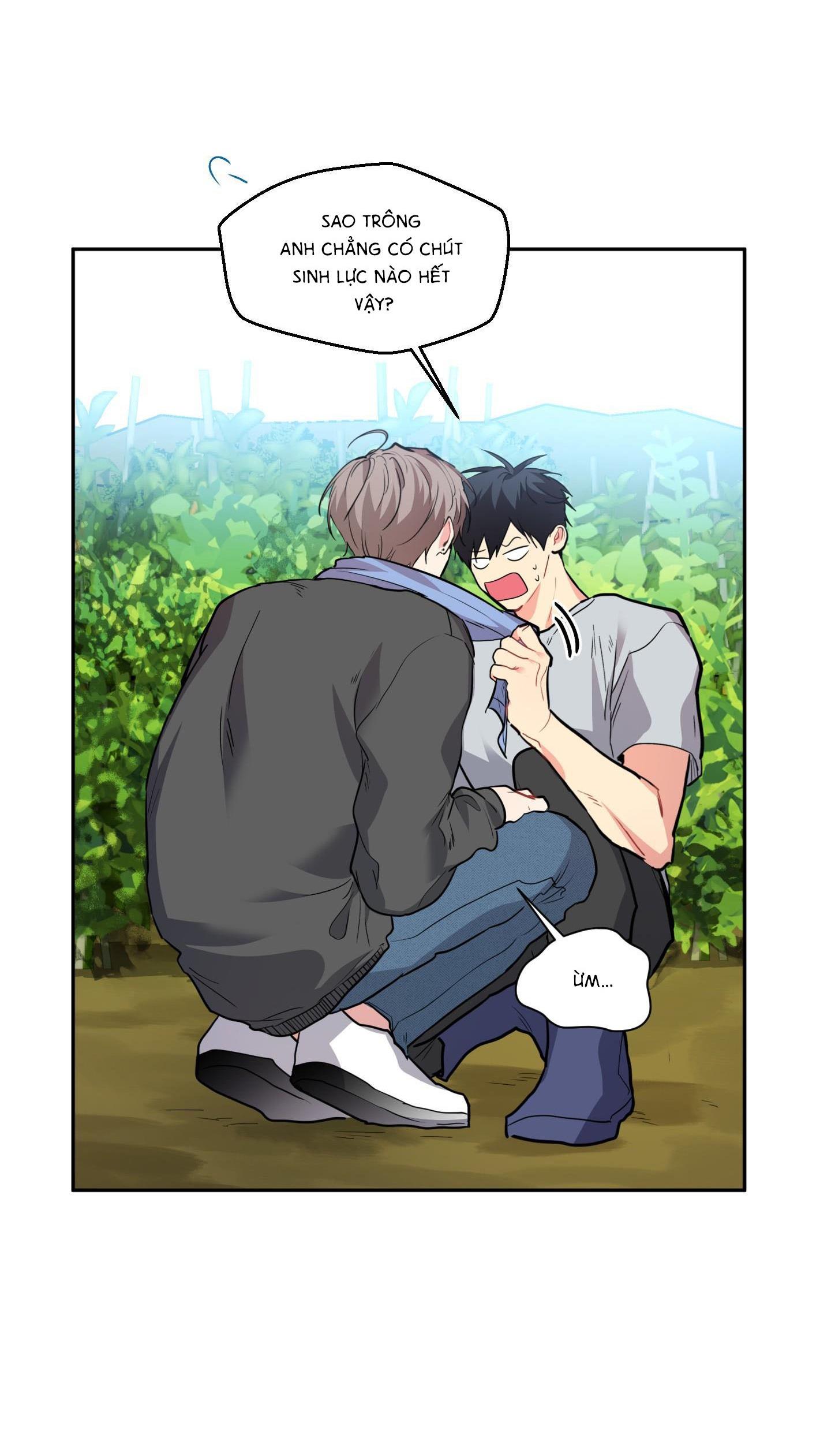 vị khách từ căn nhà phía sau chapter 4 8