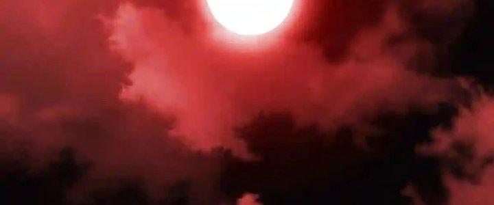 trở thành vương giả sau khi bị cắn chapter 34 4