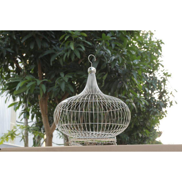 Lông Cu Gáy Inox Bầu ĐK36 xC35