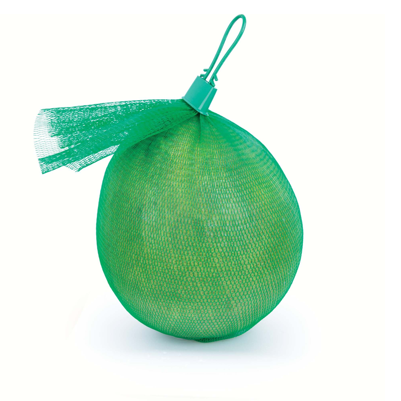 Bưởi hồng da xanh túi lưới 1.5kg-1.7kg – 2172020000006