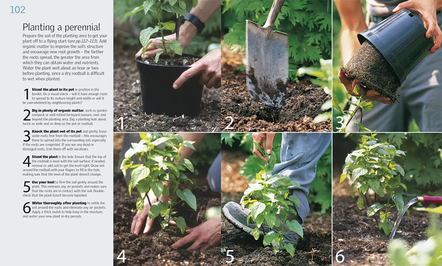 RHS How to Garden