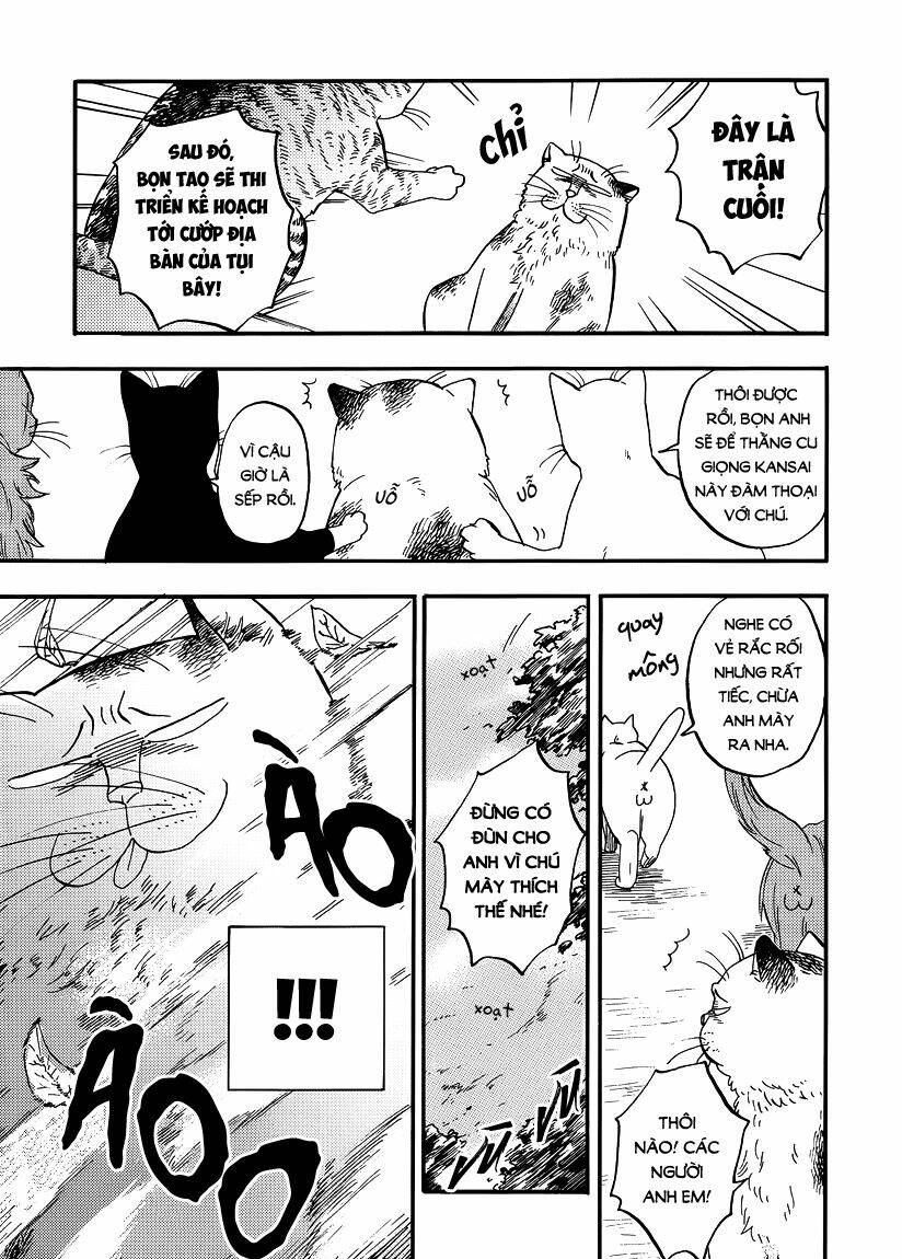 tui là busamen! chapter 8 3