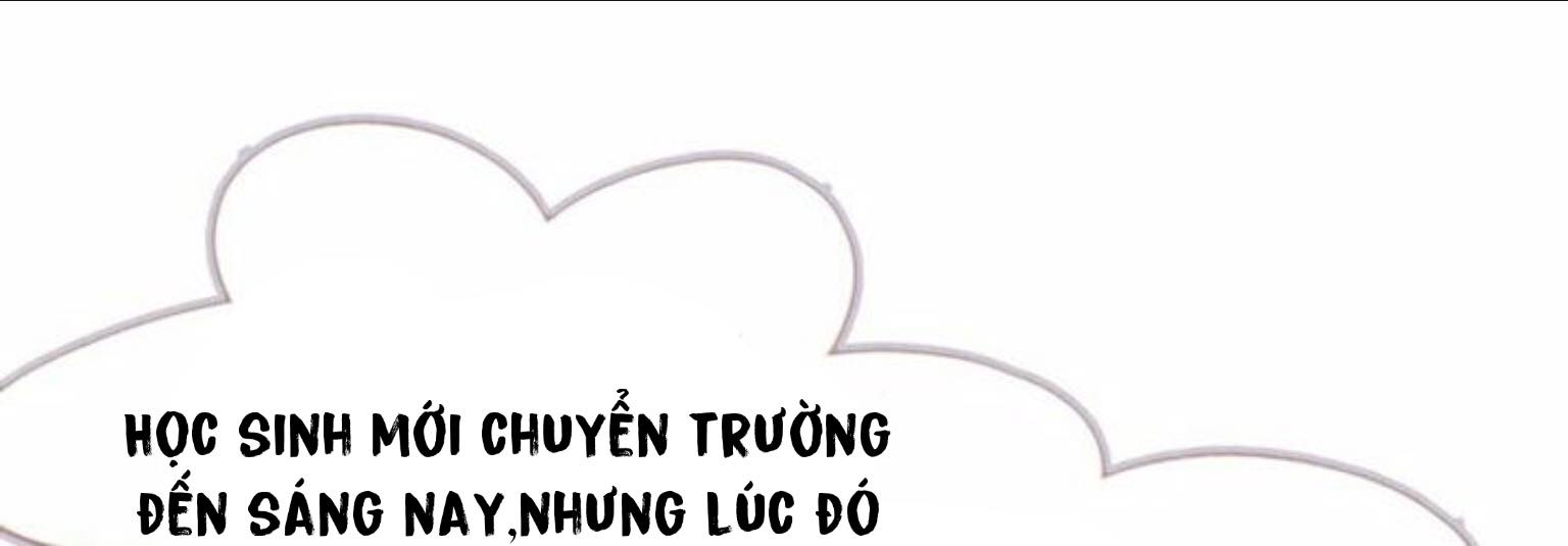 nỗi buồn của hoa cẩm tú cầu chapter 5 7