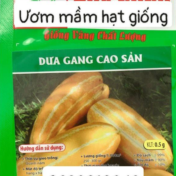 Hạt giống dưa gang cao sản HN gói 0.5gr