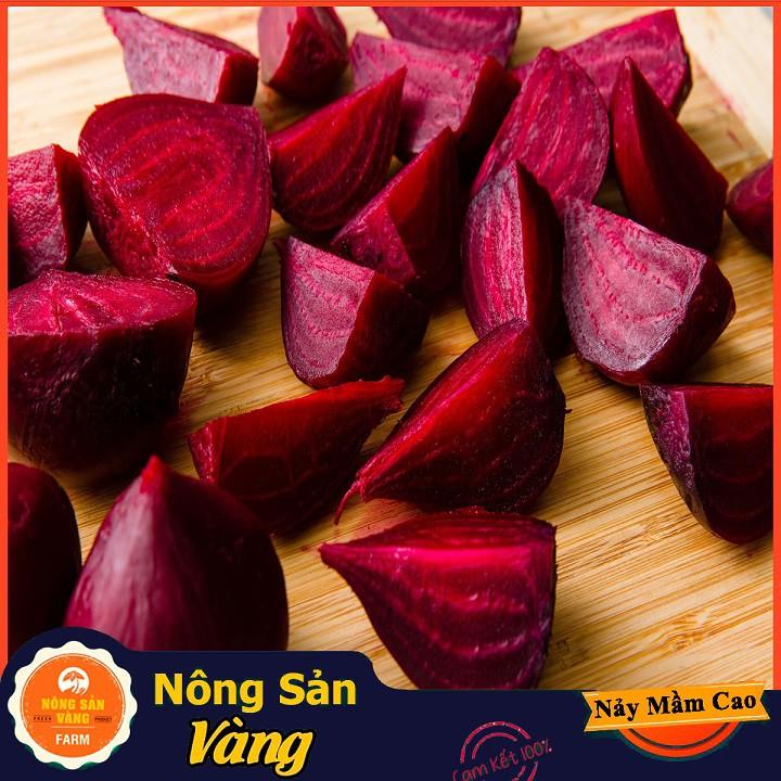 Hạt giống Củ Dền Đỏ