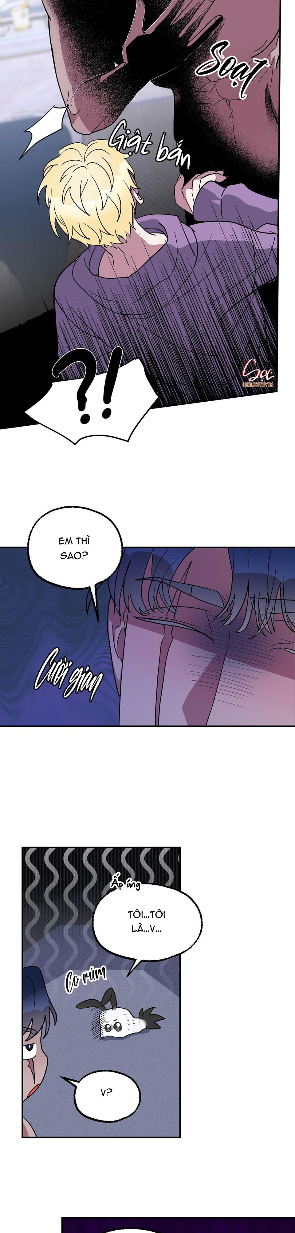 cá mập và cô dâu thỏ chapter 4 20