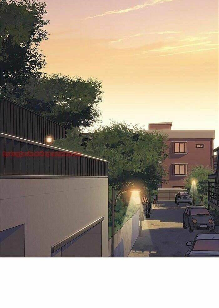 biến thân thành mèo chapter 50 49