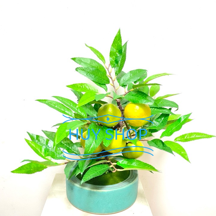 CHẬU CÂY TRÁI QUÝT VÀNG NHÂN TẠO TRANG TRÍ NHÀ CỬA