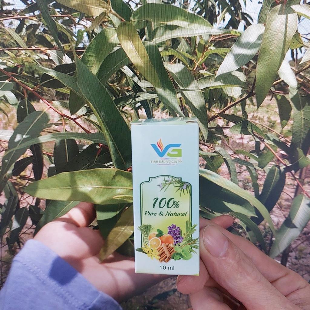 Tinh dầu bạch đàn chanh nguyên chất 10ml 20ml 50ml