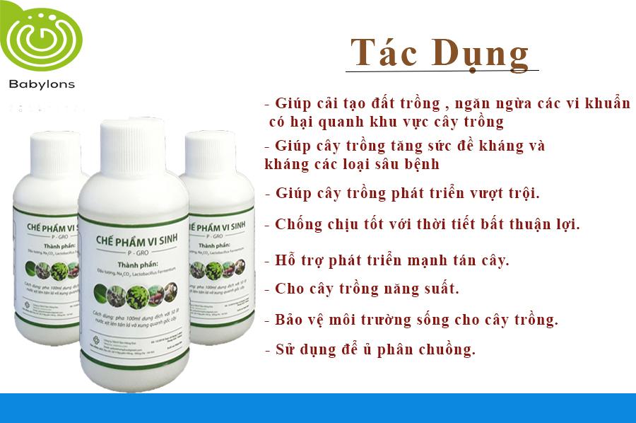 Chế phẩm vi sinh từ đậu tương P-GRO dành cho hoa, lan, cây cảnh -cải tạo đất trồng,ngăn ngừa các vi khuẩn