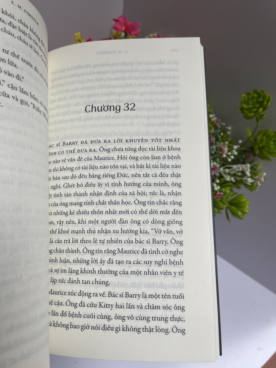 MAURICE - E. M. Forster – Jack Frogg dịch – Nxb Kim Đồng