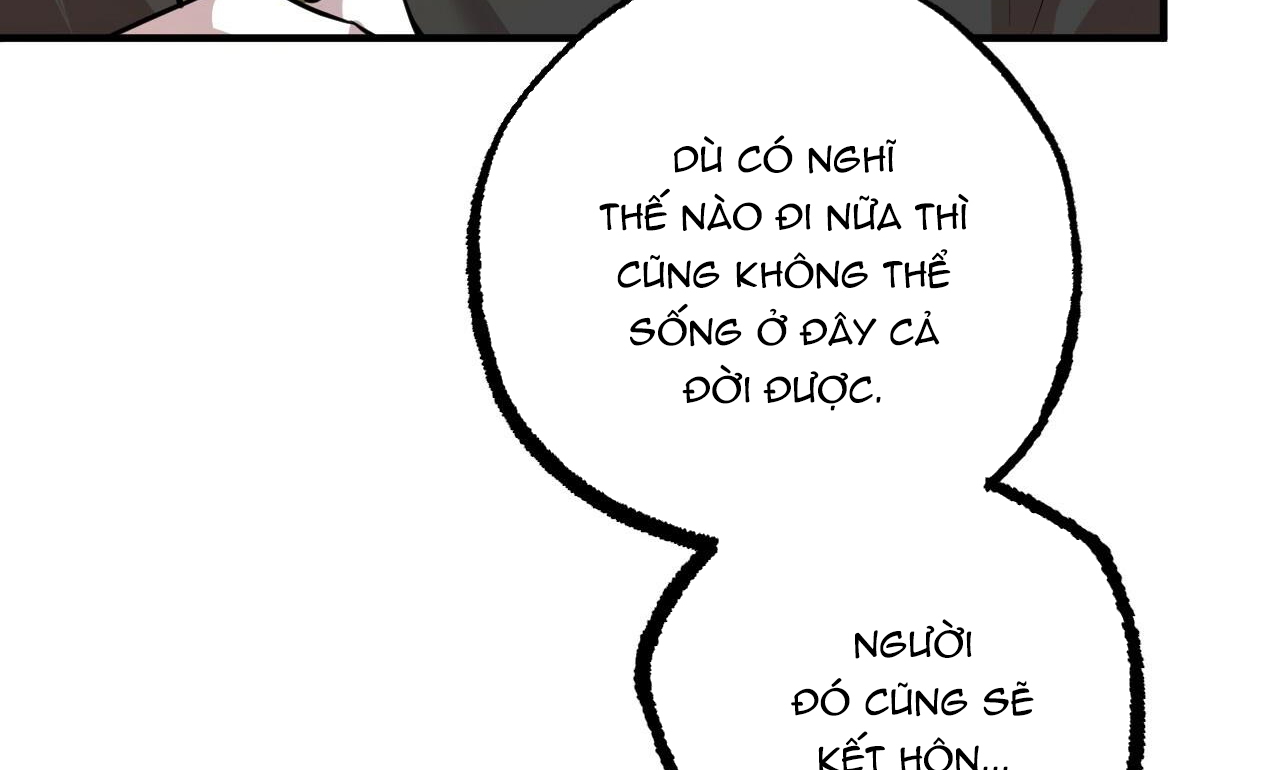 đàn thỏ của habibi chapter 30 205