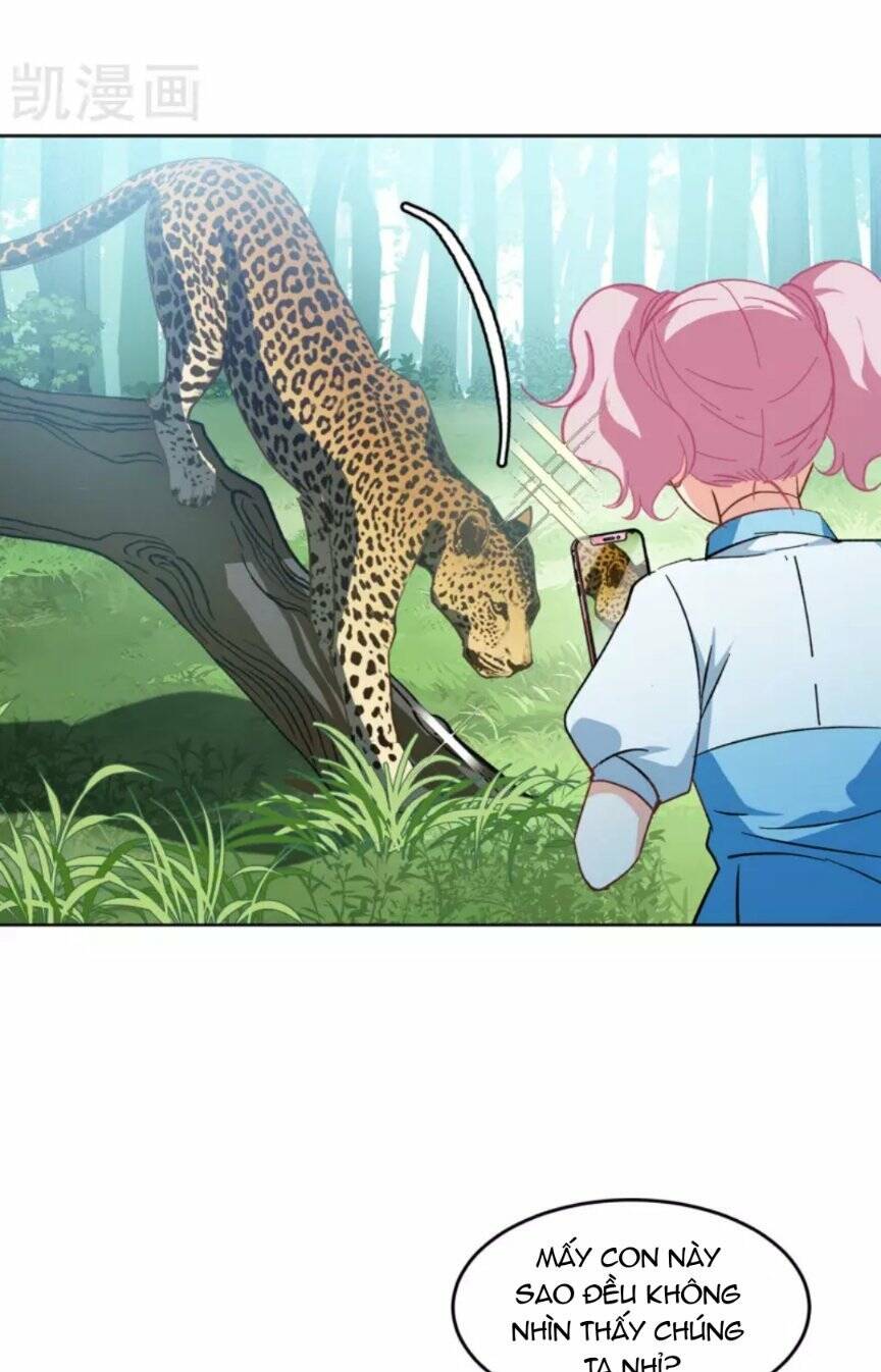 cô ấy đến rồi, xin nằm xuống! chapter 115 5