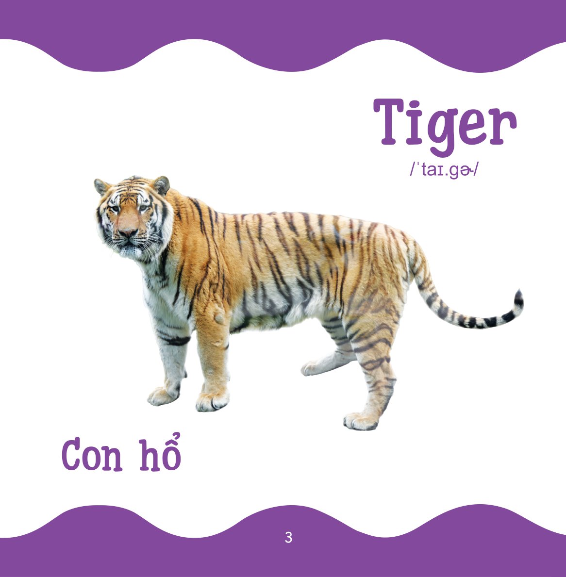 Cùng Con Trưởng Thành - Từ Điển Bằng Hình Cho Trẻ Mầm Non - Động Vật Hoang Dã _DTI