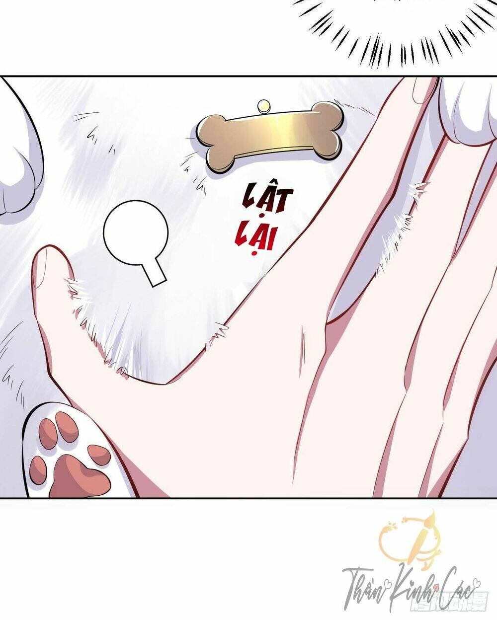 nhạc phụ đại nhân là lão bà chapter 27 34