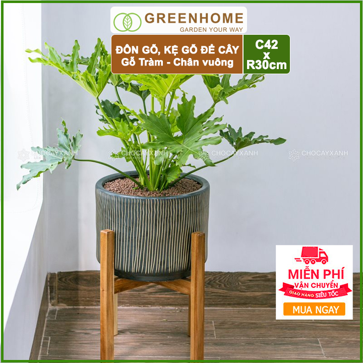 Đôn Kê chậu cây 1 tầng chân Vuông GREENHOME -Gỗ Tràm Bông Vàng-lắp đặt dễ dàng-TẶNG 4 MIẾNG LÓT CHỐNG TRẦY XƯỚC