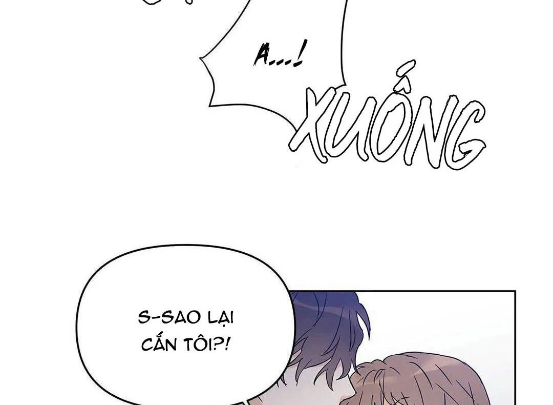 guide cấp b chapter 16 80