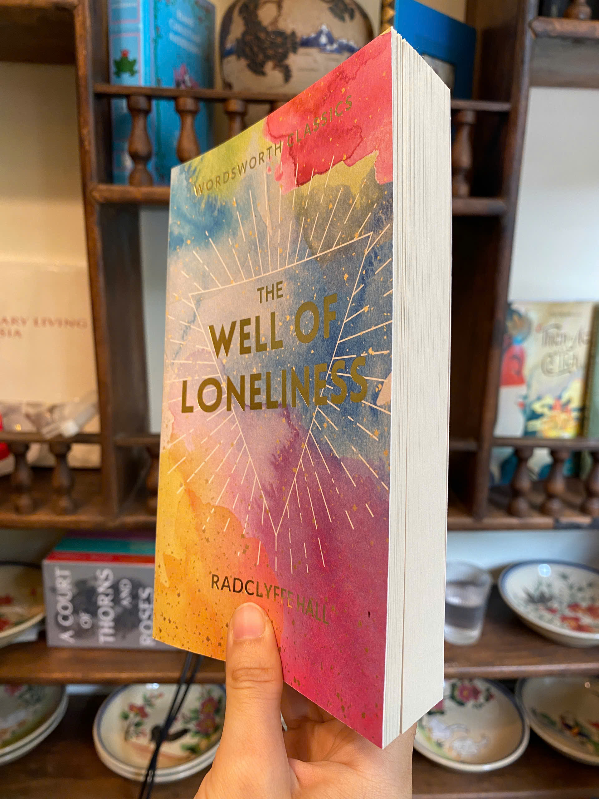 Sách - The Well of Loneliness (Wordsworth Classics) by Radclyffe Hall | English Romance Book