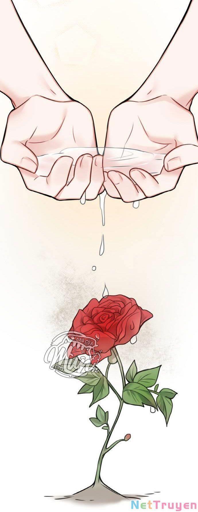 nhật ký tuần trăng mật của phù thủy và rồng chapter 52.1 59