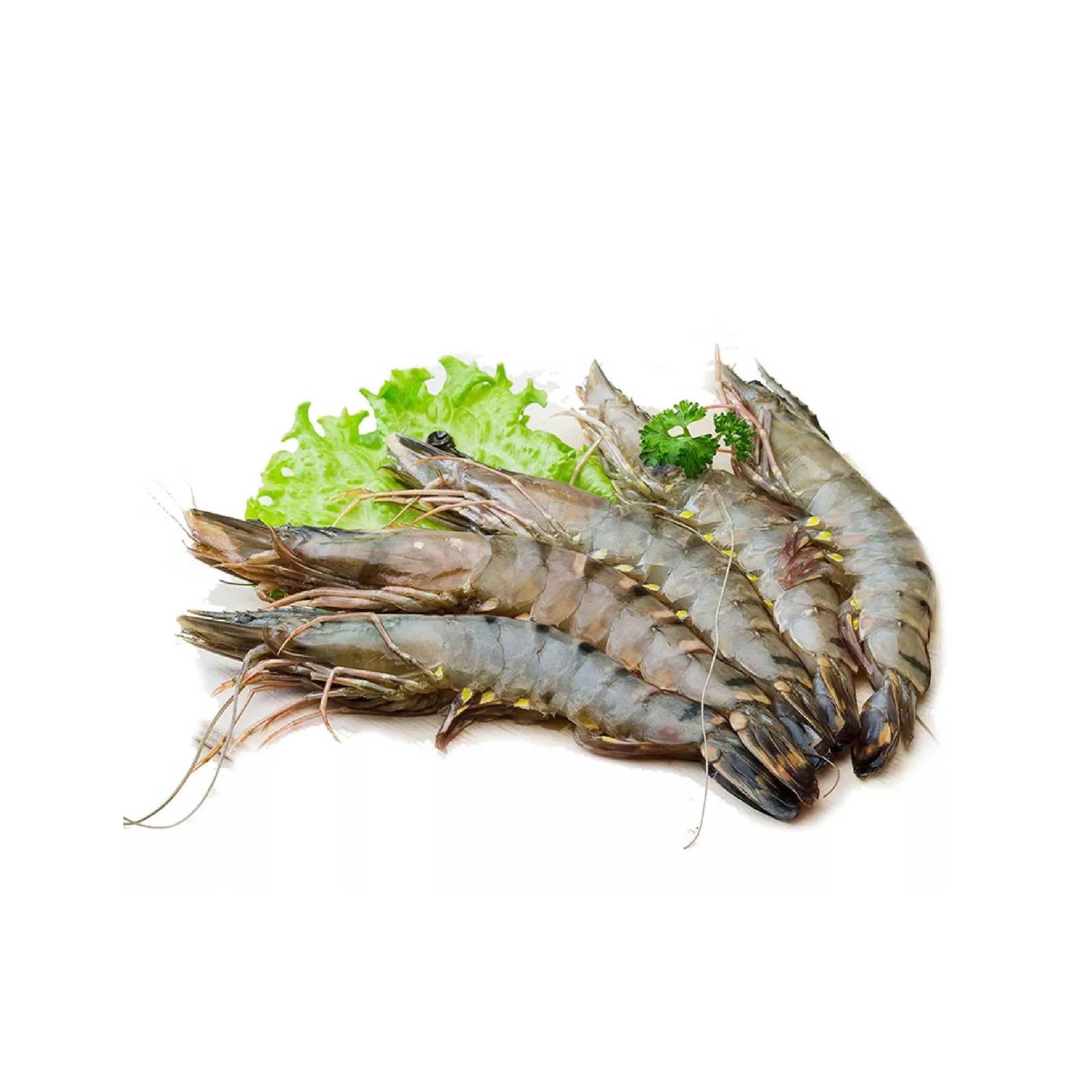 Tôm sú sinh thái Minh Phú size lớn hộp 1kg