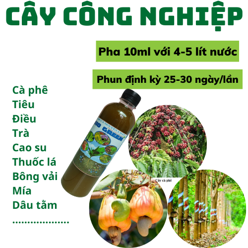 Chai 500ml- Đạm Cá nguyên chất BIOGREEN -KHÔNG CHẤT PHỤ GIA, CHIẾT XUẤT TỪ NGUỒN ĐẠM CÁ TINH KHIẾT