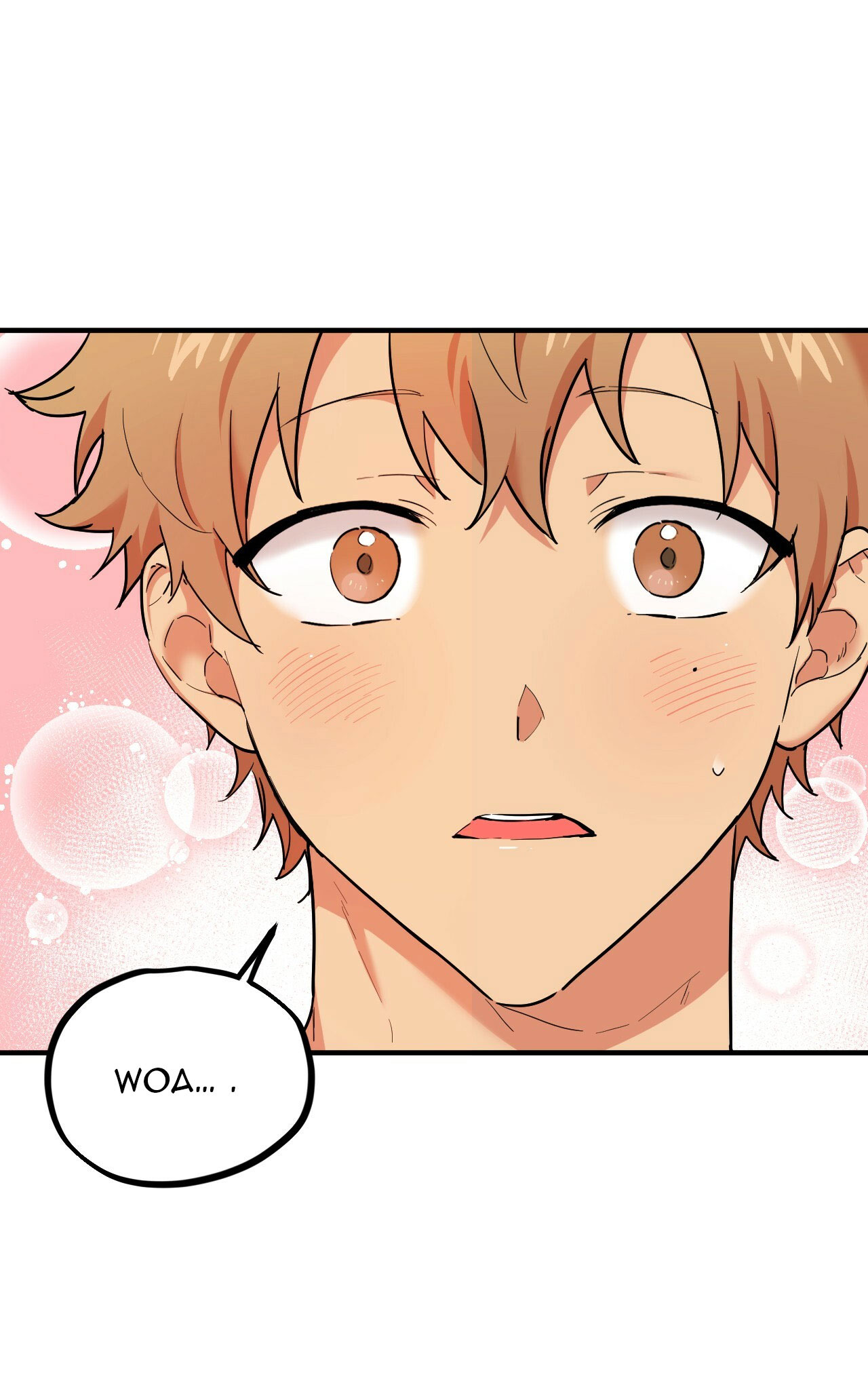 những chú thỏ của hapypy chapter 4 1