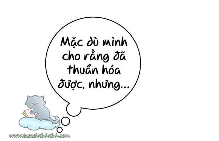thuần hóa bạo chúa rồi bỏ trốn chapter 33 41