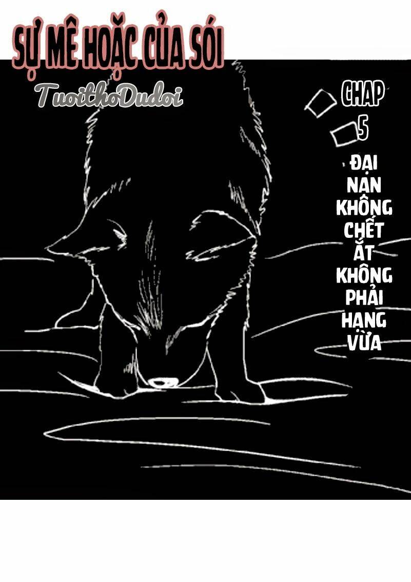 sự mê hoặc của sói chapter 5 1