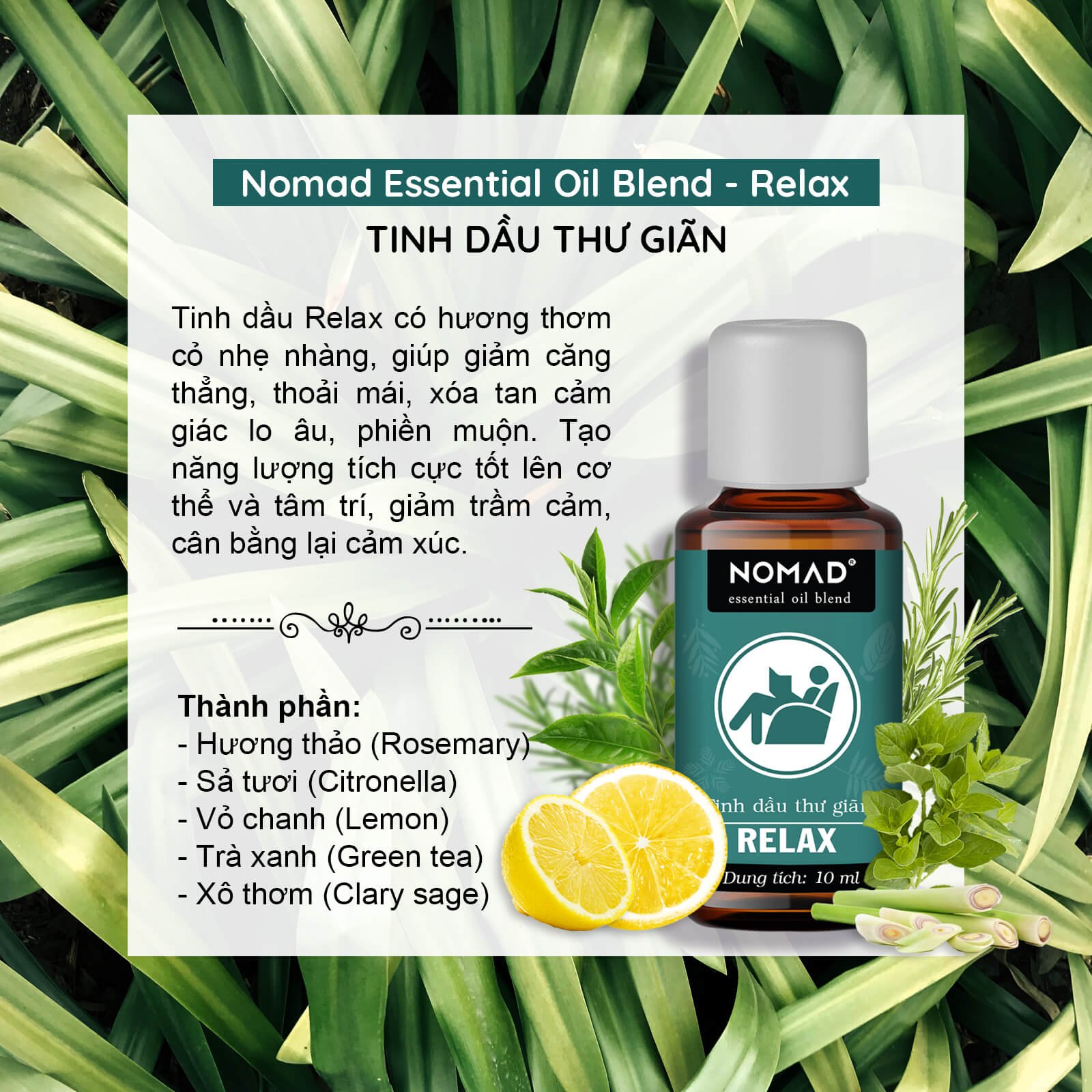 Tinh Dầu Thư Giãn Nomad Essential Oil Blend - Relax