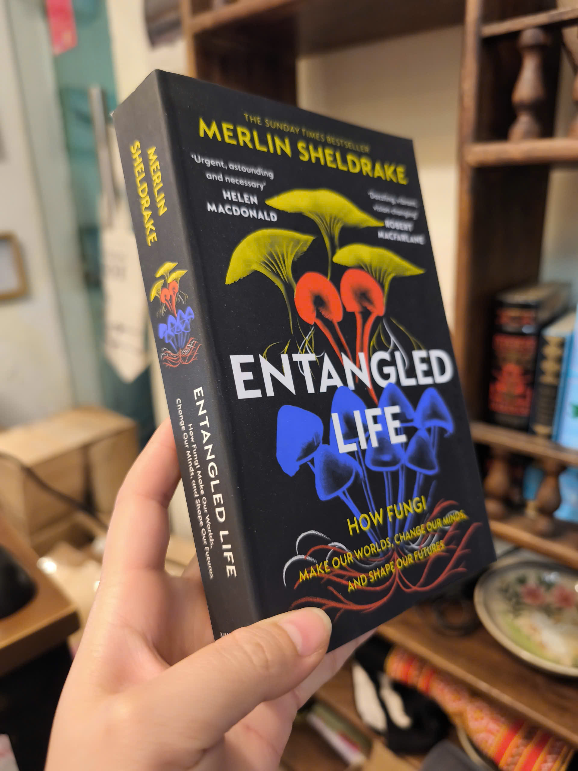 Sách - Entangled Life How Fungi Make Our Worlds, Change Our Minds &amp; Shape Our Futures - English Book