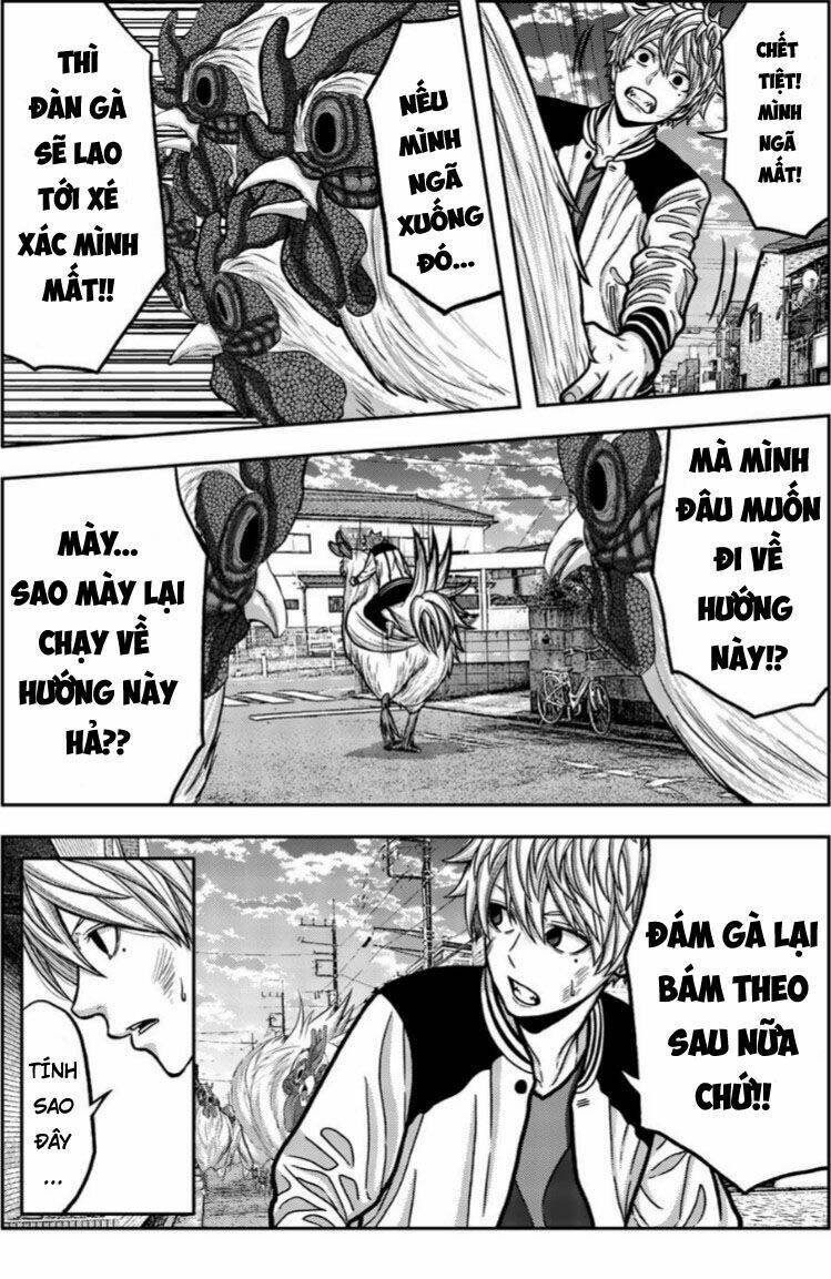 tiếng gáy sát thủ chapter 15 7