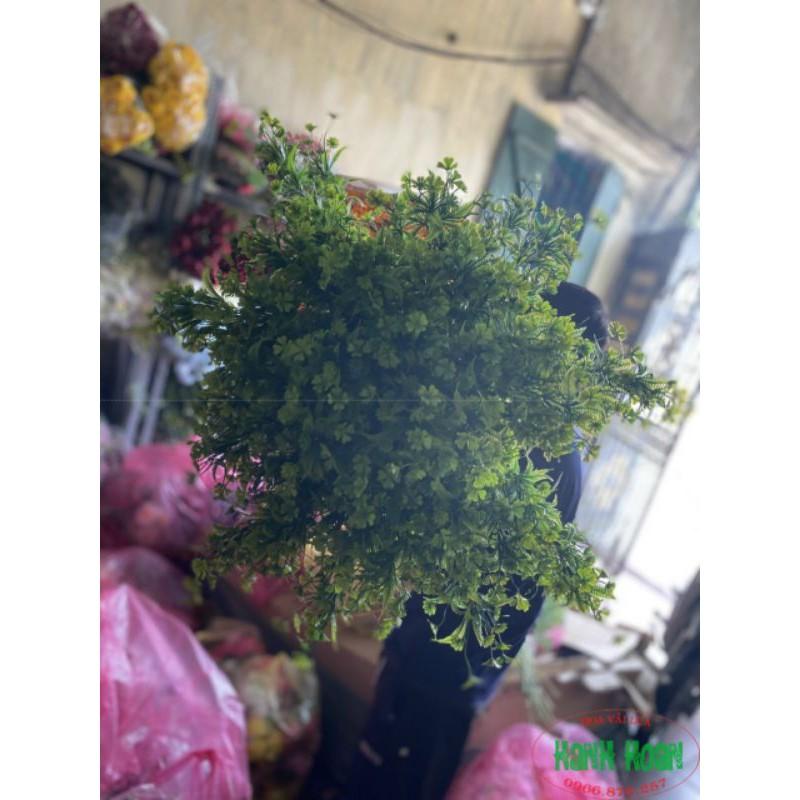 Dương xỉ hoa cao cấp - Cây hoa giả