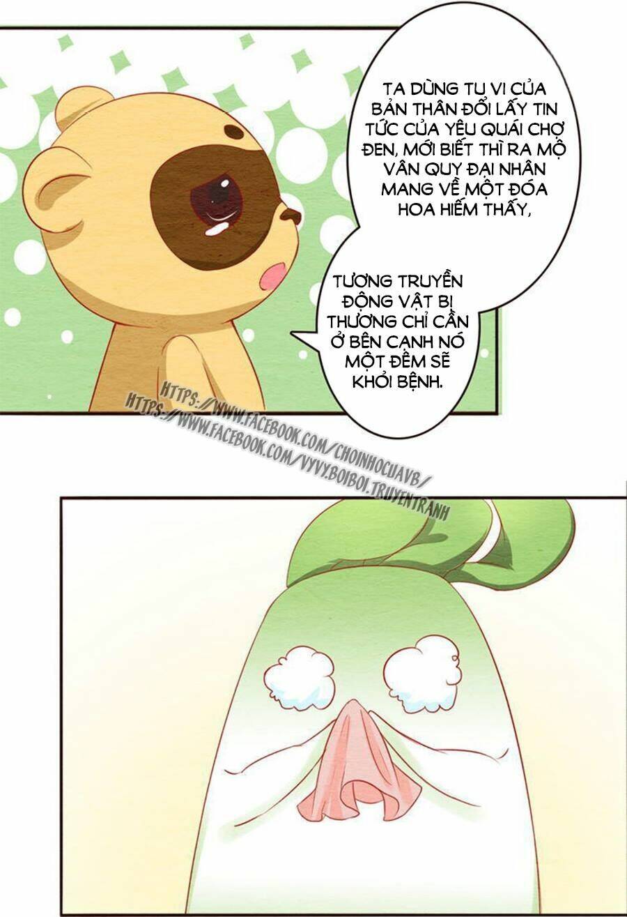 nhân hoa duyên chi sư phụ đại nhân cầu sủng ái chapter 11 31