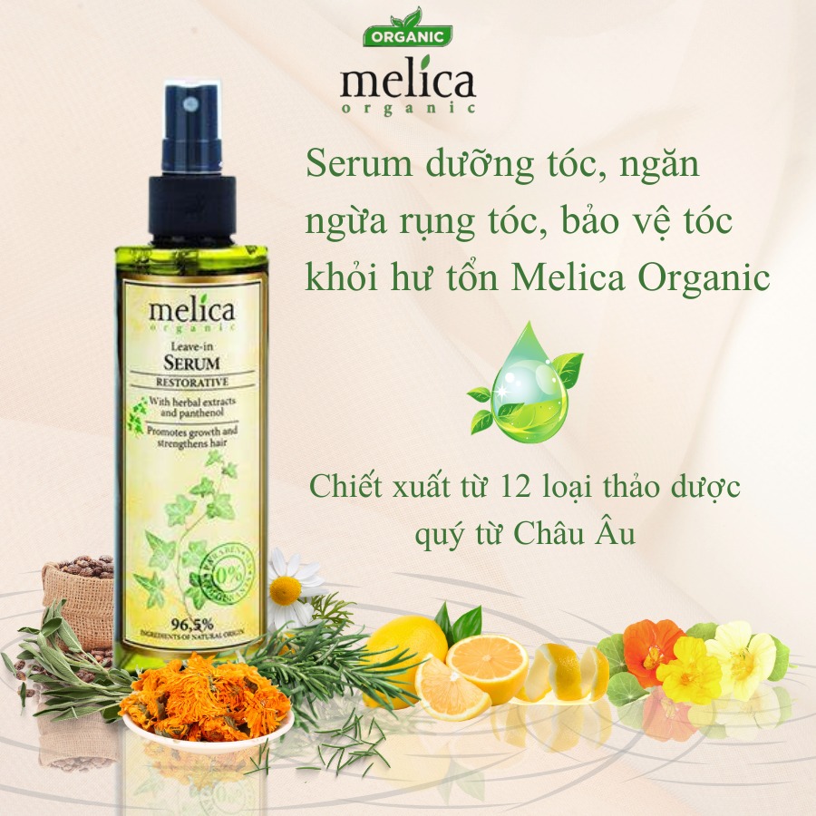Bộ chăm sóc tóc thảo dược hữu cơ cho tóc nhuộm xơ rối Melica Organic dầu gội xả Olive &amp; màng lọc UV và serum dưỡng tóc
