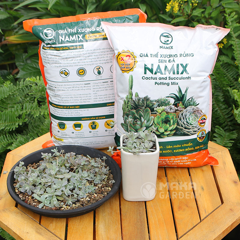 Đất trồng Sen đá và Xương rồng Namix - tơi xốp, thoáng khí, thoát nước tốt