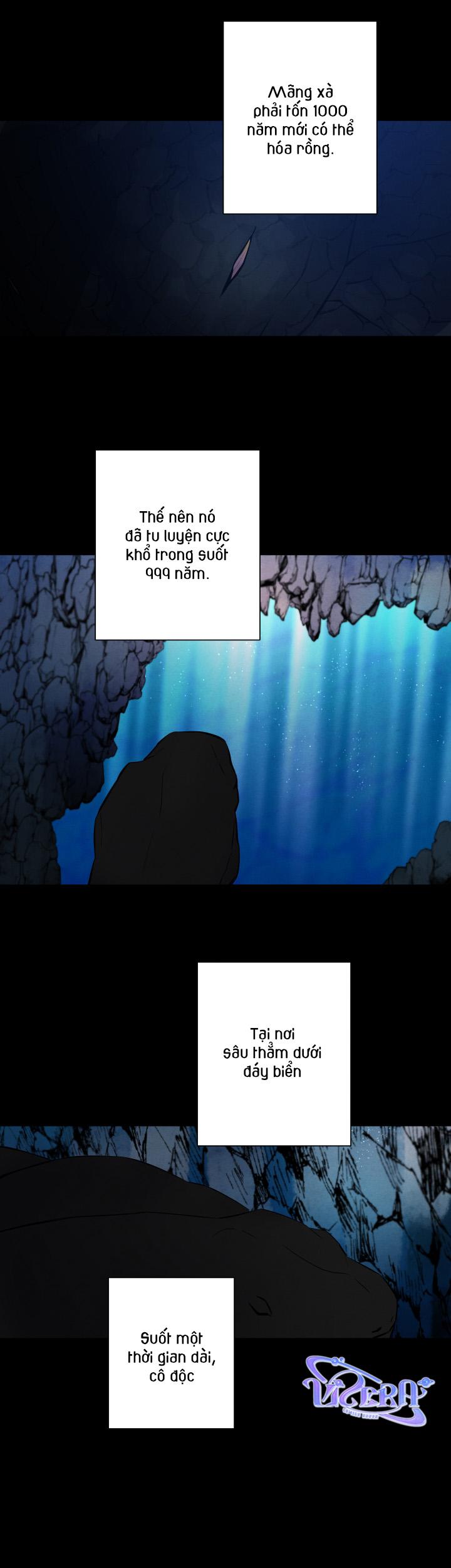 âm thanh của san hô chapter 29 16