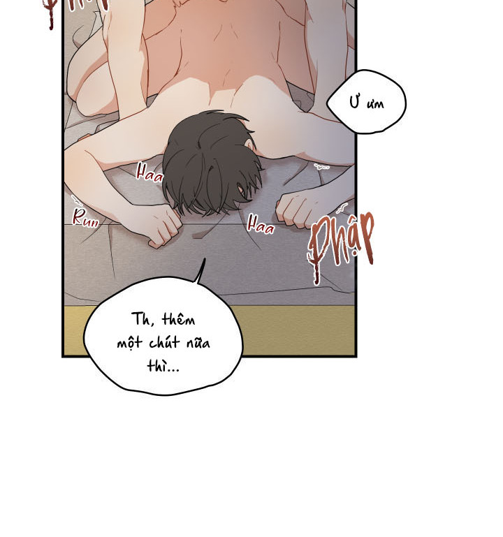 đường hoa liên kiều rơi chapter 16 18