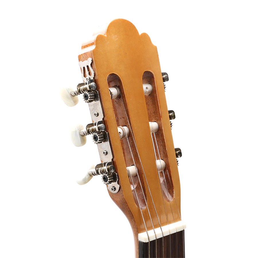 Đàn Guitar Classic Rex HGW195C